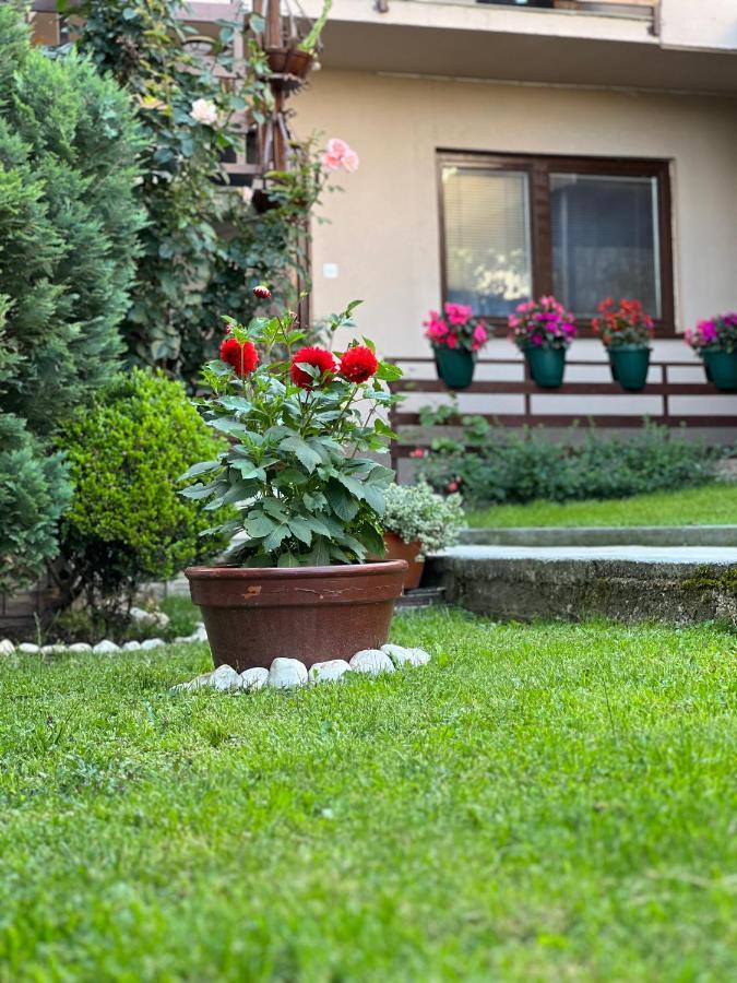 City Centar Apartman SJJ Esterno foto